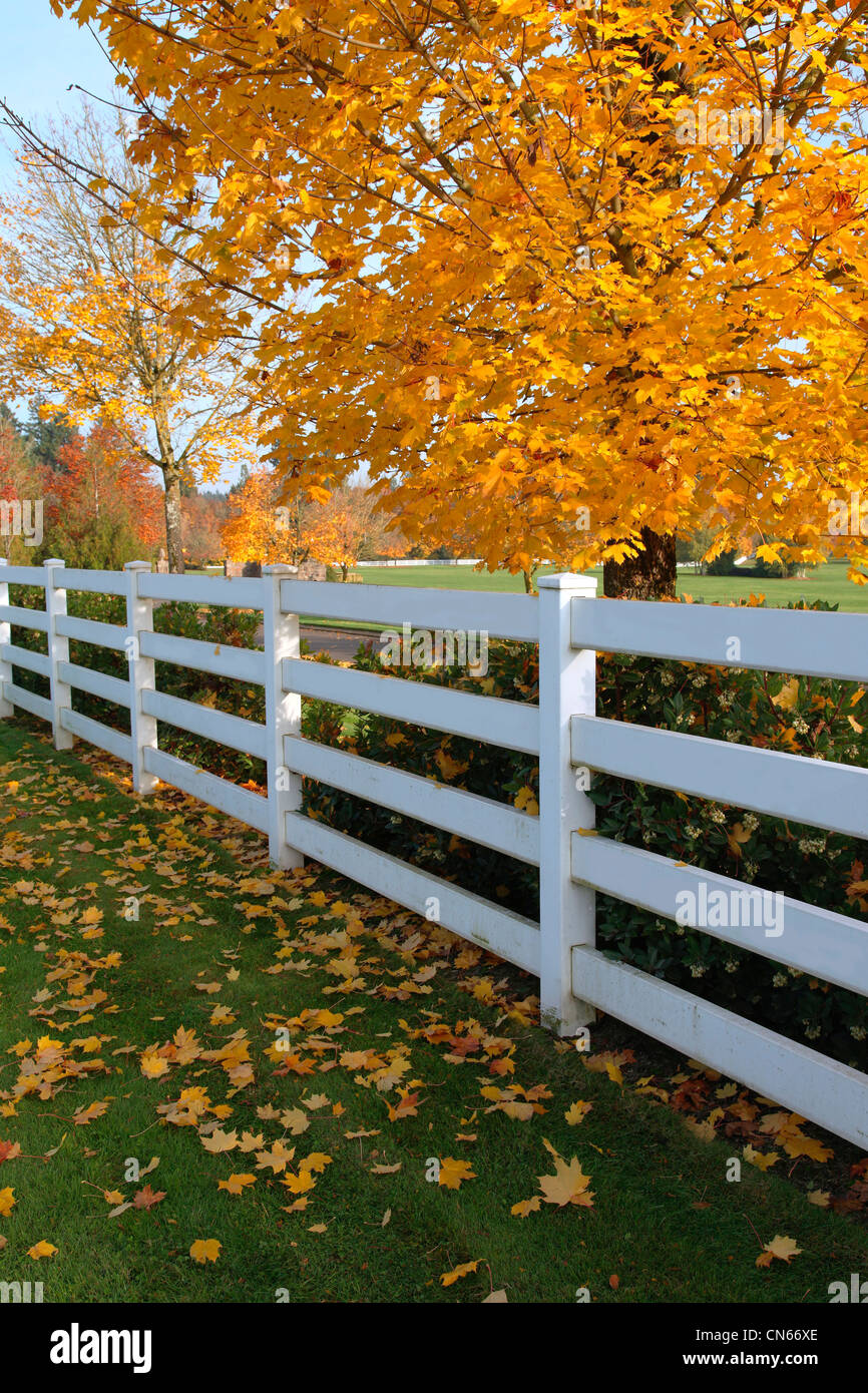 Fences and trees hi-res stock photography and images - Alamy