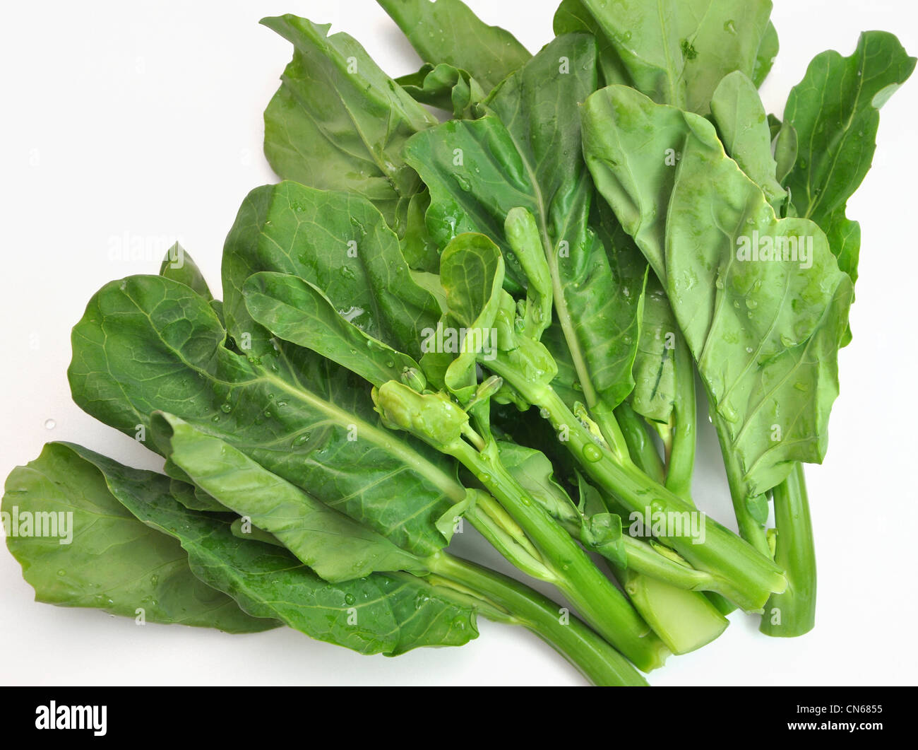 Nature chinese vegetable Stock Photo Alamy