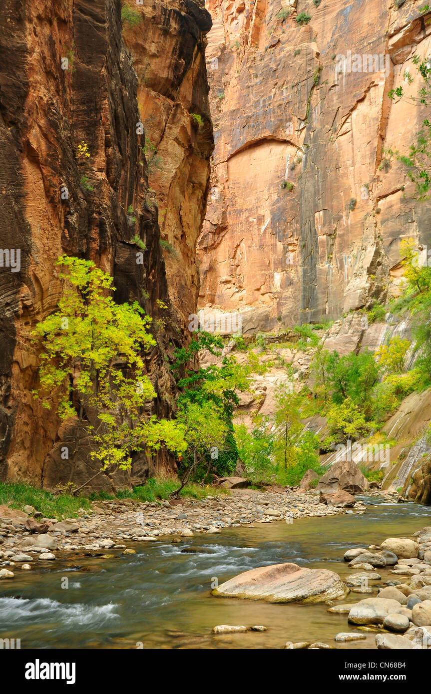 North Fork of the Virgin River flowing through Zion Narrows, Zion