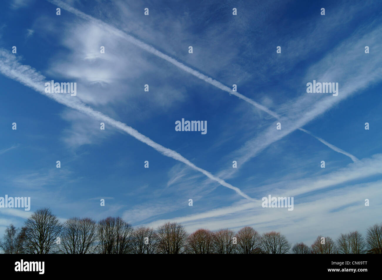 Cirrus Clouds & Contrails on Spring Afternoon over Trees in Chard,Somerset Stock Photo