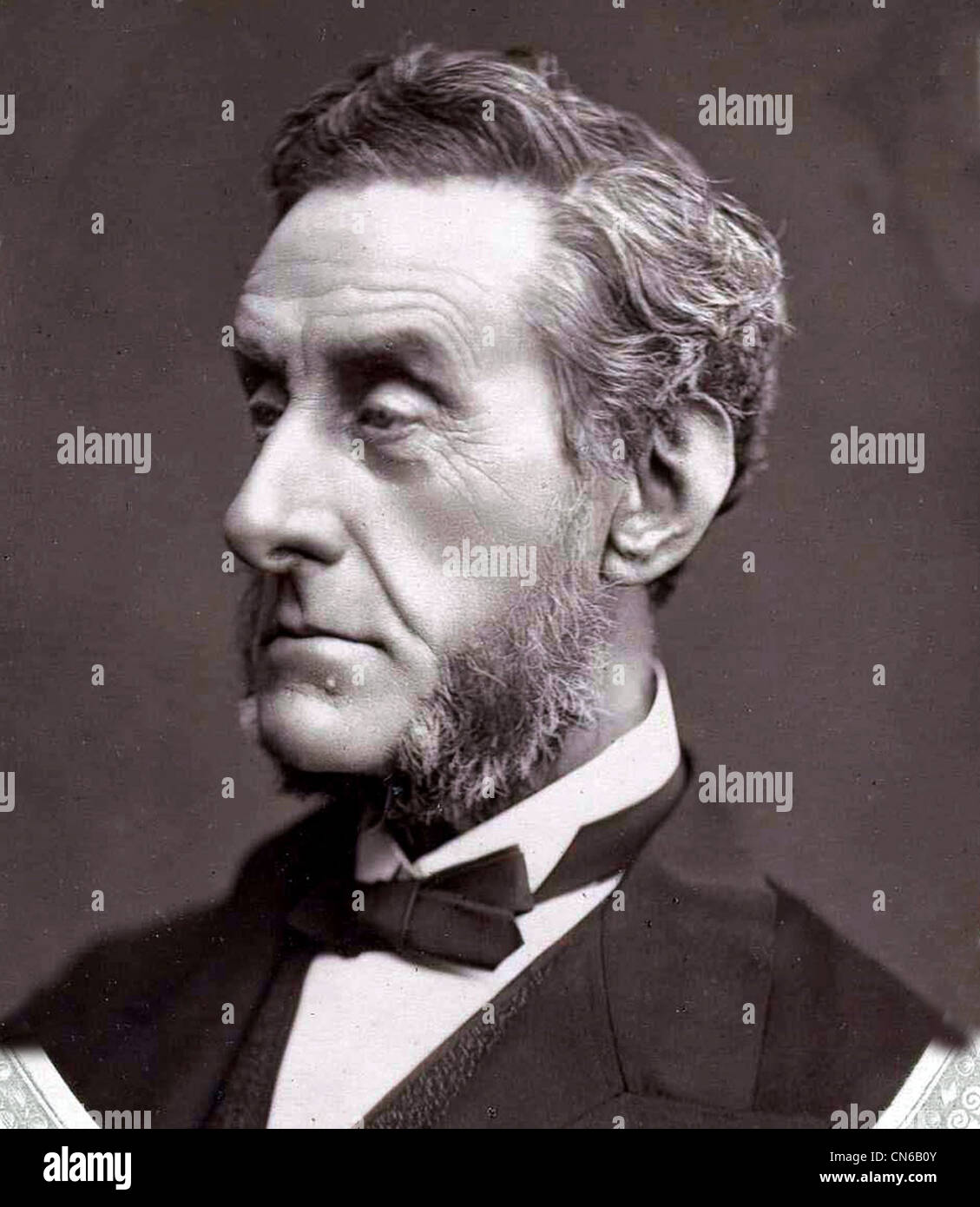 ANTHONY ASHLEY-COOPER, 7TH Earl of Shaftesbury (1801-1885) English politician and social reformer Stock Photo