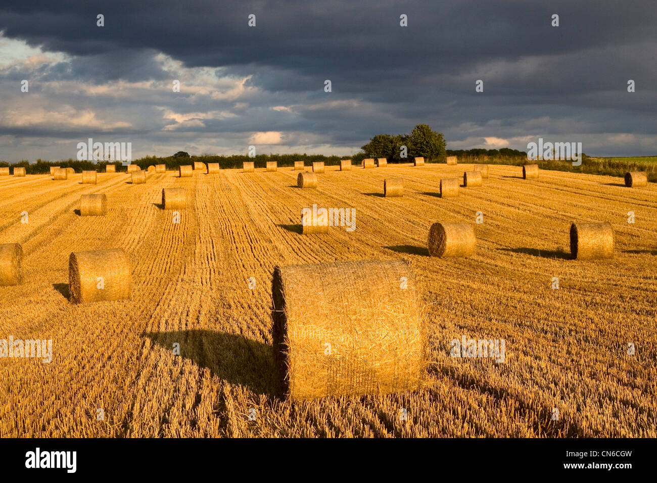 Straw bales below a stormy sky, Swinbrook, the Cotswolds, United Kingdom Stock Photo