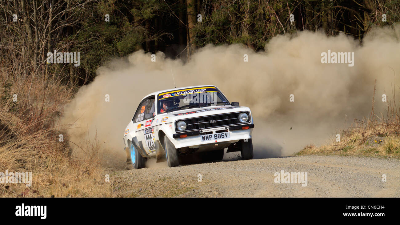 A rally car in the Dyfnant Forest During the Bulldog Rally 2012 Stock ...