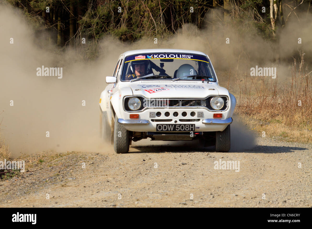 A rally car in the Dyfnant Forest During the Bulldog Rally 2012 Stock ...