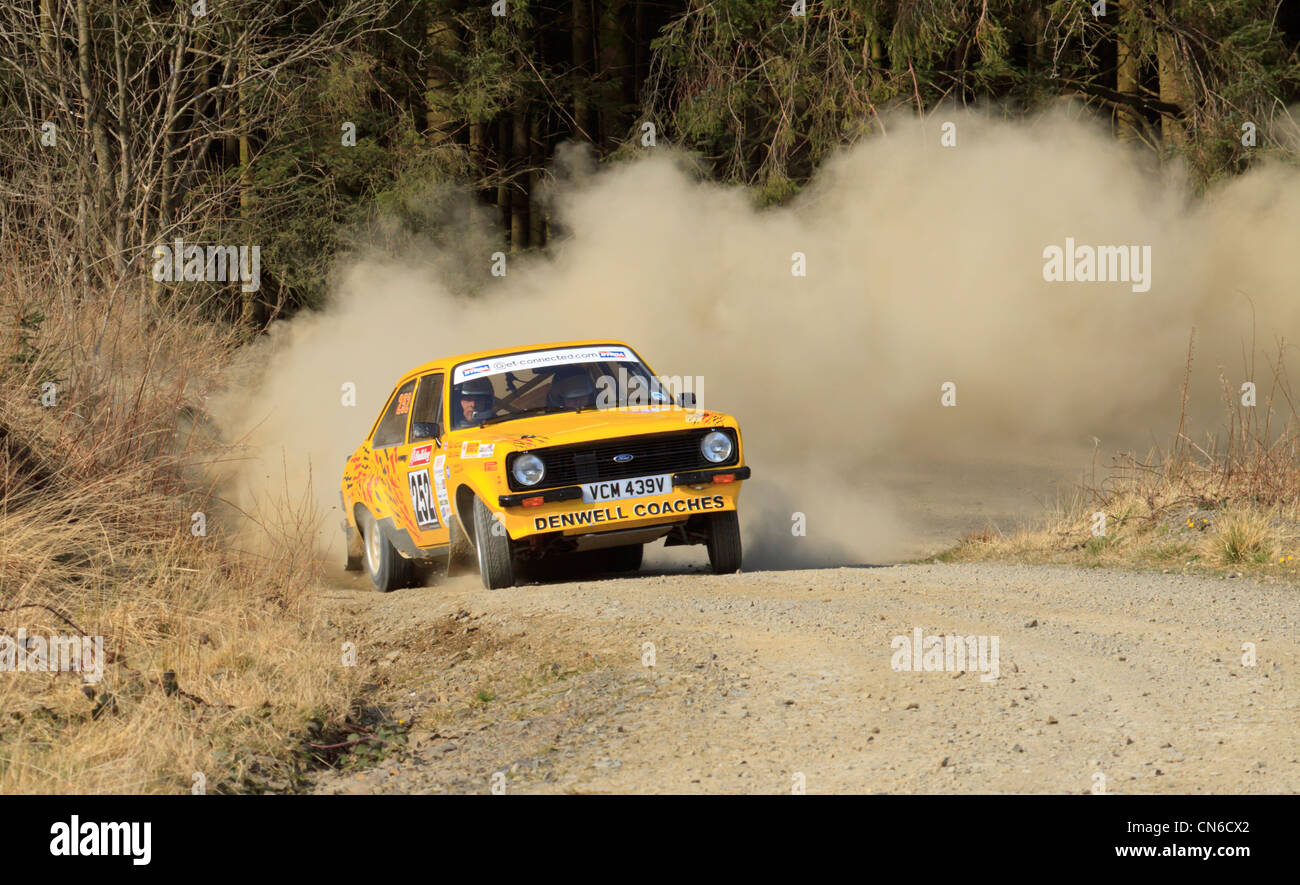 A rally car in the Dyfnant Forest During the Bulldog Rally 2012 Stock ...