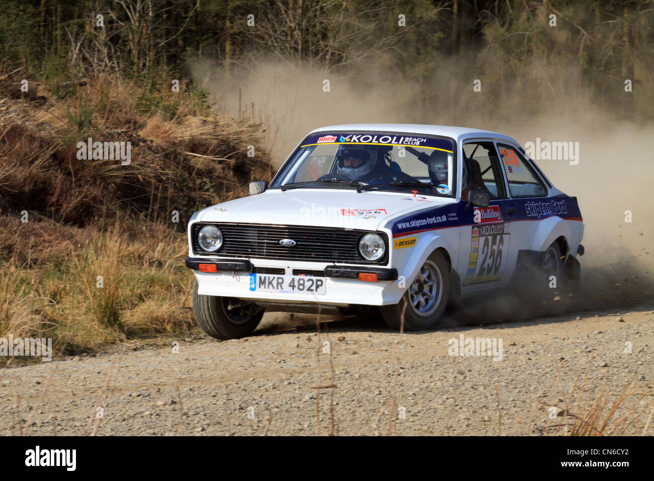 A rally car in the Dyfnant Forest During the Bulldog Rally 2012 Stock ...