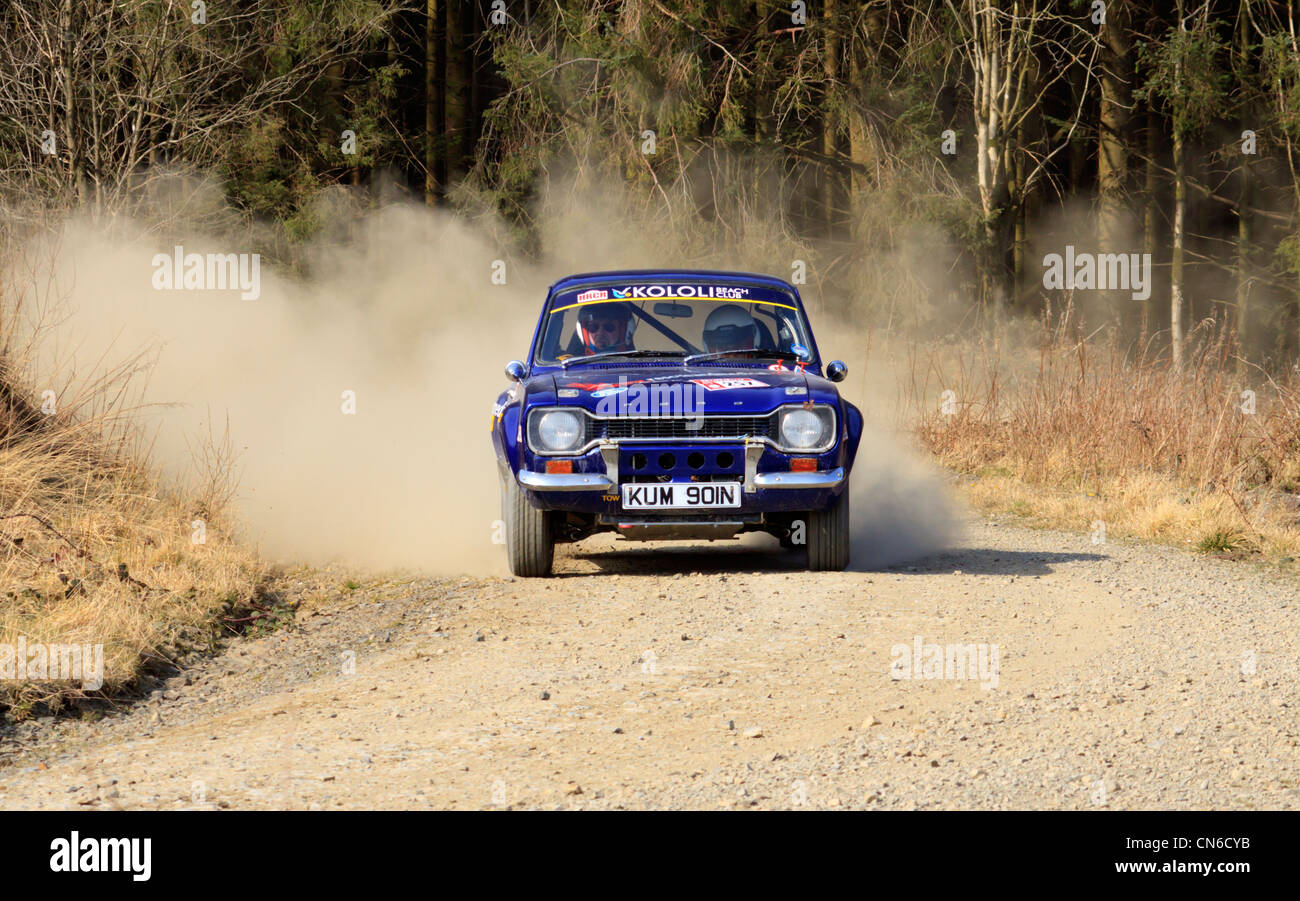 A rally car in the Dyfnant Forest During the Bulldog Rally 2012 Stock ...