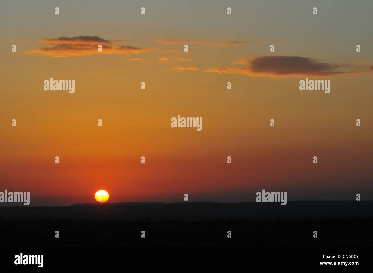 Masai Mara Landscape High Resolution Stock Photography and Images - Alamy