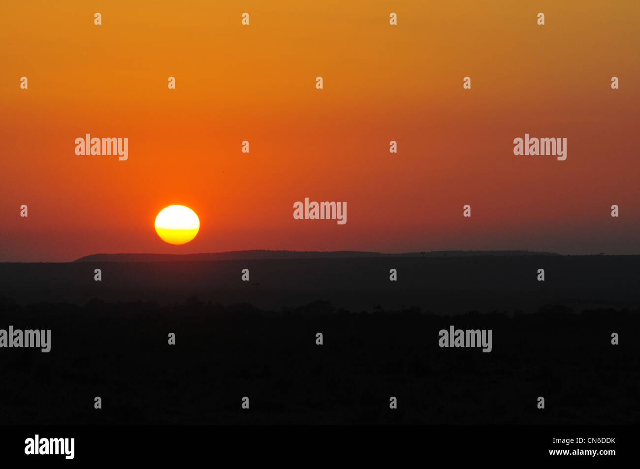 Masai mara landscape hi-res stock photography and images - Alamy