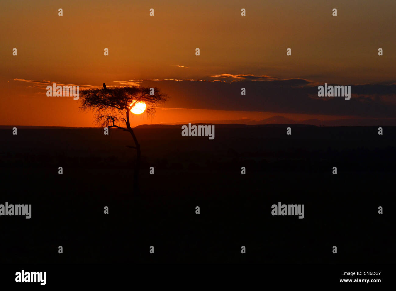 Masai Mara Landscape High Resolution Stock Photography and Images - Alamy