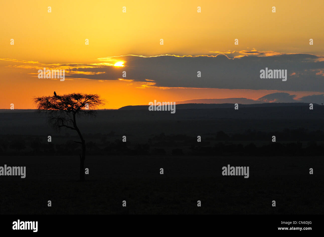 Mara landscape hi-res stock photography and images - Alamy