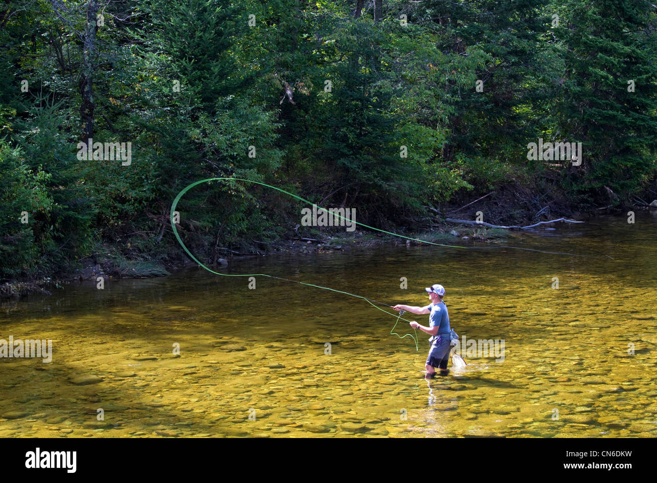 One fly fisherman, fly fisher, casting in stream, Maine Stock Photo