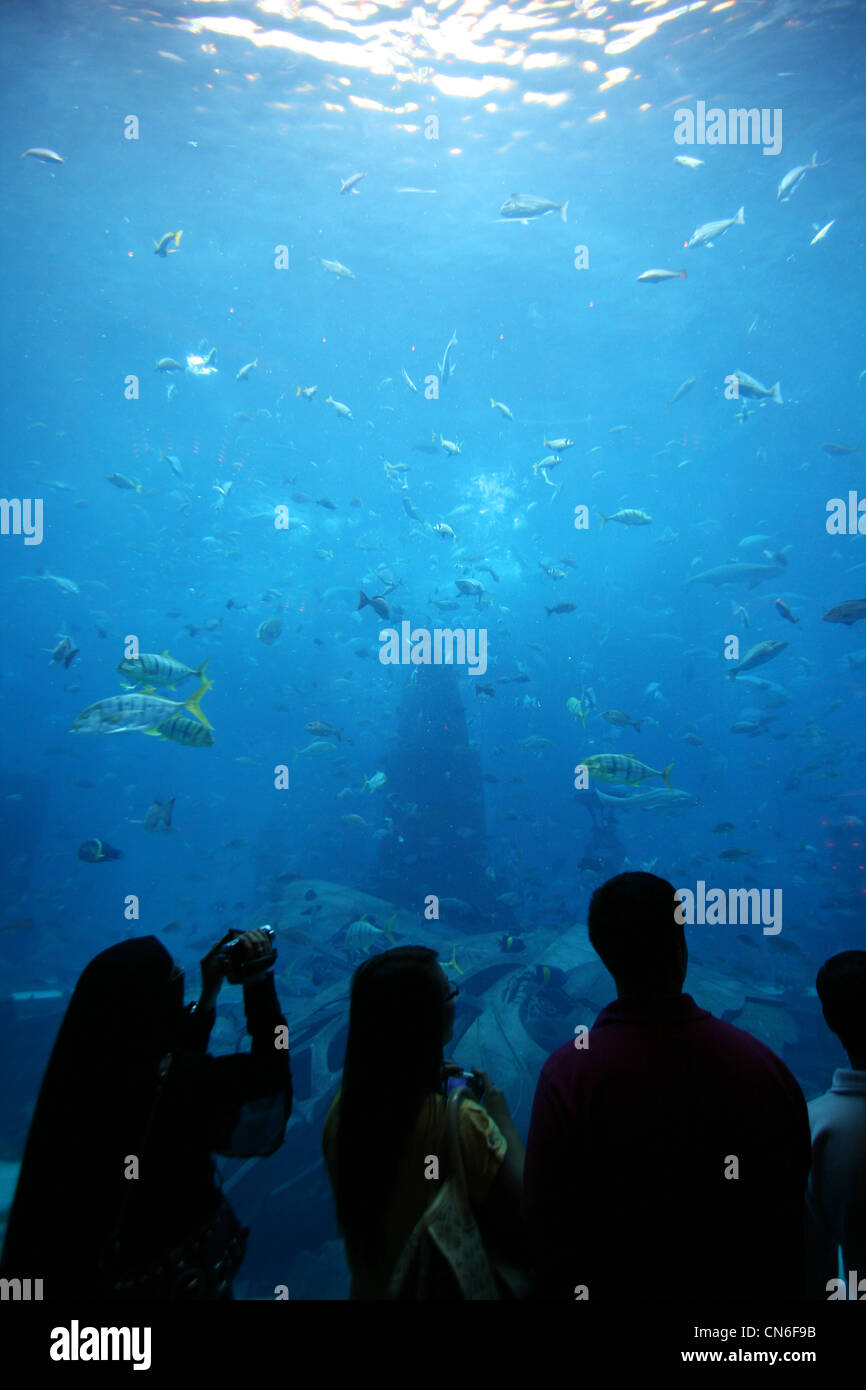 People watching the massive aquarium at the Atlantis (the Palm) hotel in Dubai with tons of marine life Stock Photo