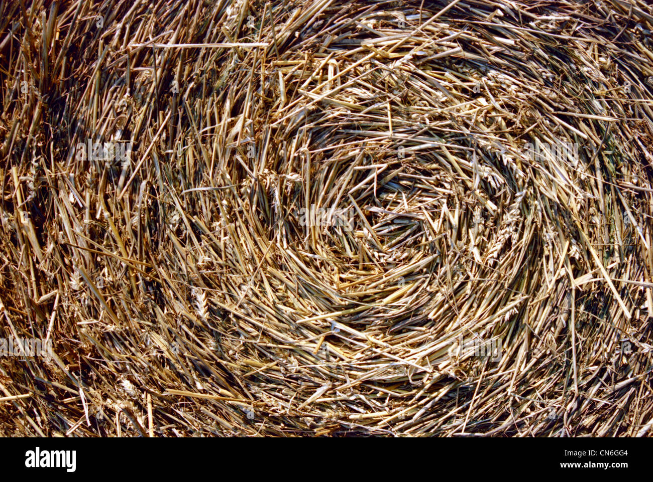Close-up of straw bales. Spiral texture. Stock Photo