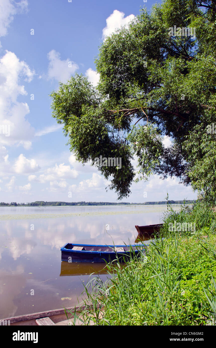 Spring Lake fragment. Boats anchored on coast. Willow and shoreline ...