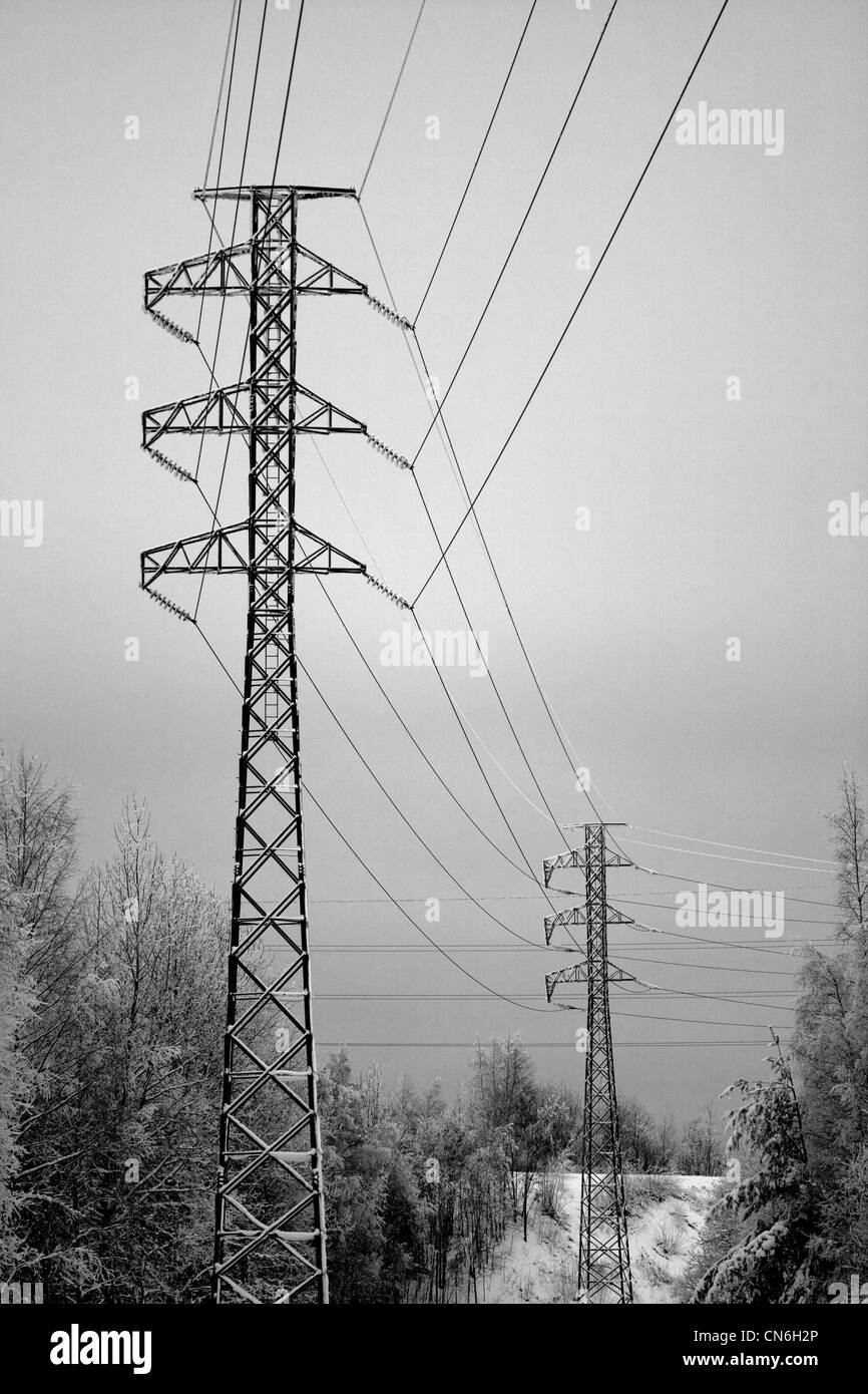 powerlines-trees-black-and-white-stock-photos-images-alamy