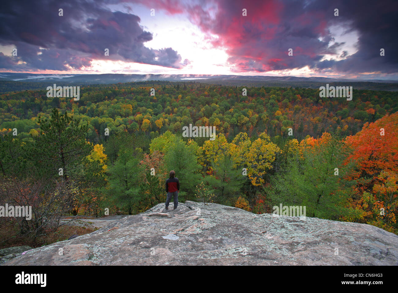 lookout trail algonquin