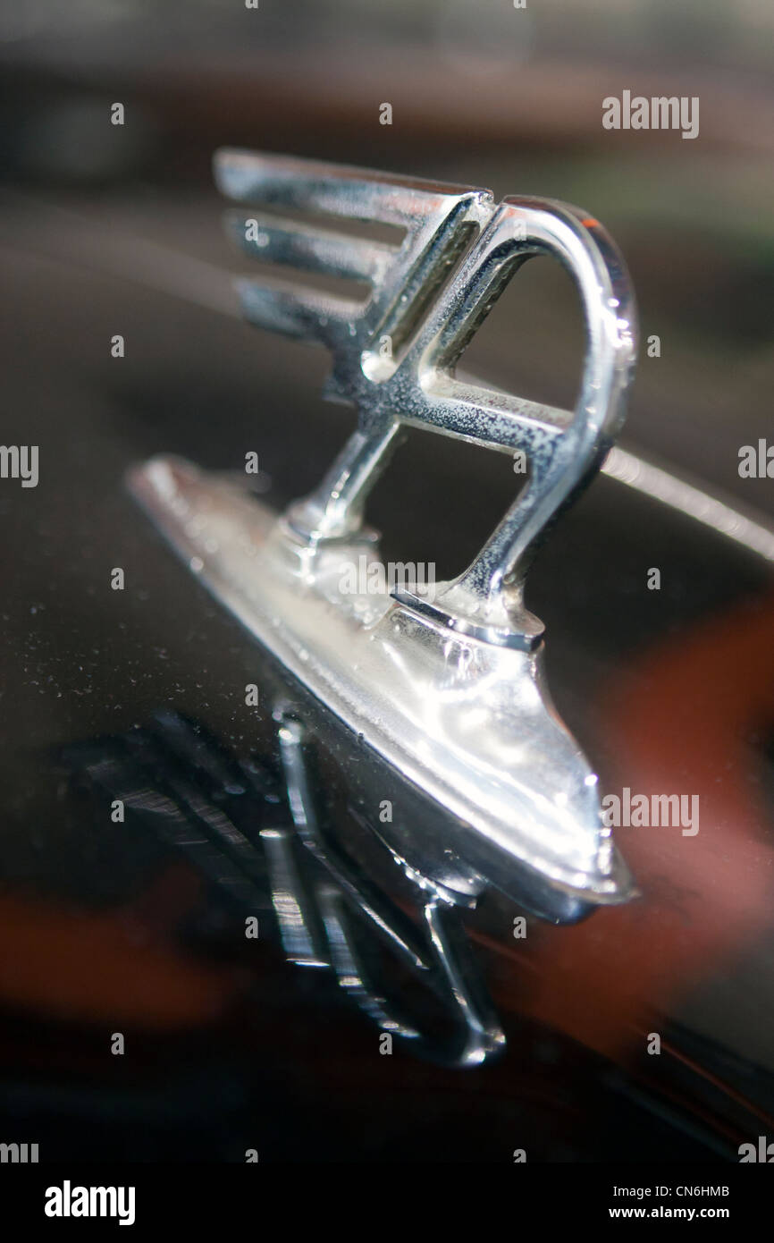 Austin mascot hires stock photography and images Alamy