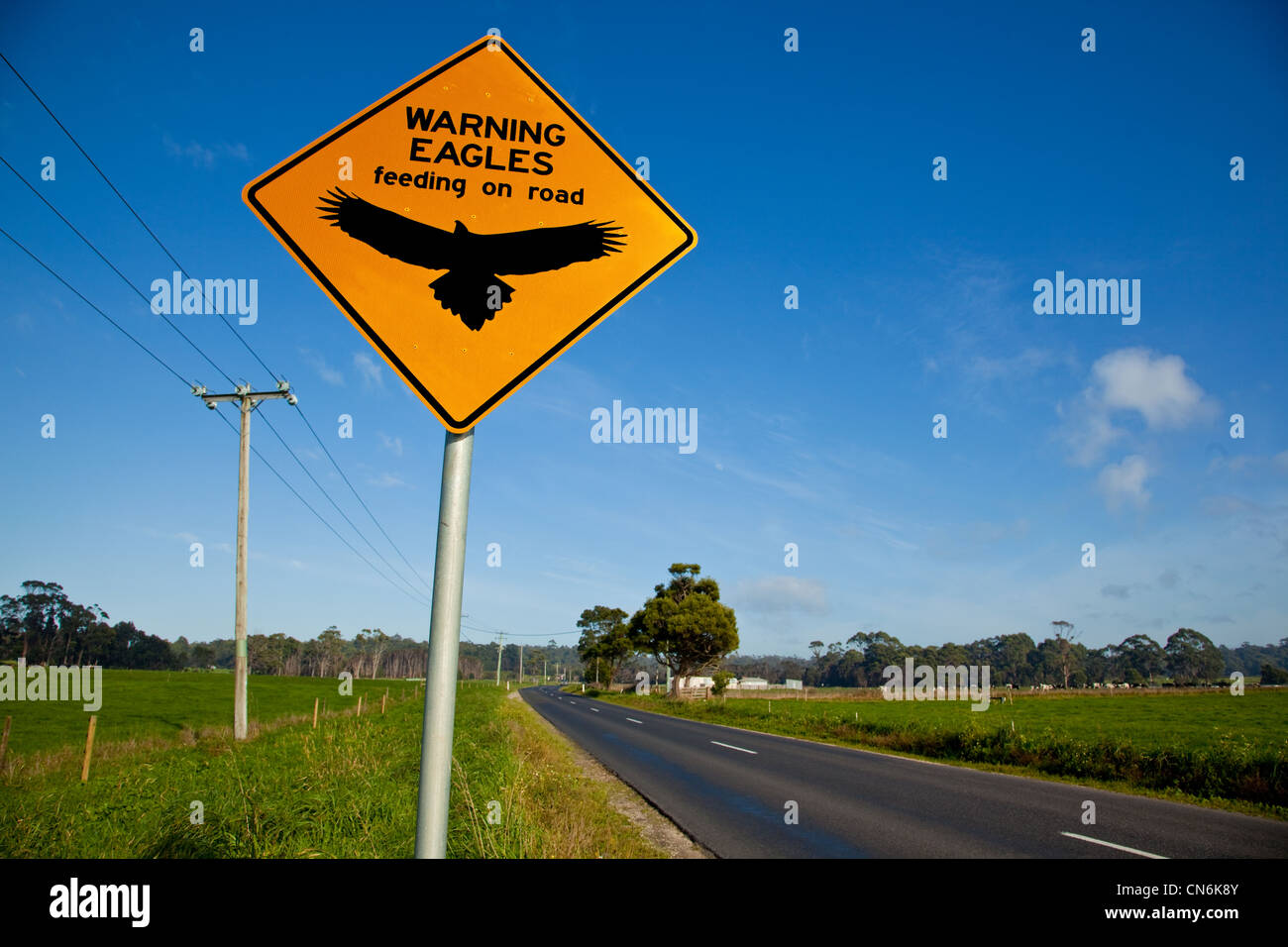 Eagles on road warning sign. Tasmania. Australia. Stock Photo
