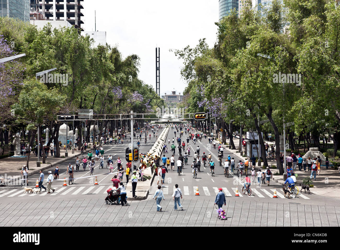 Paseo de la Reforma looking toward Chapultapec is crowded with bicyclists pedestrians dog walkers on a beautiful spring Sunday Stock Photo
