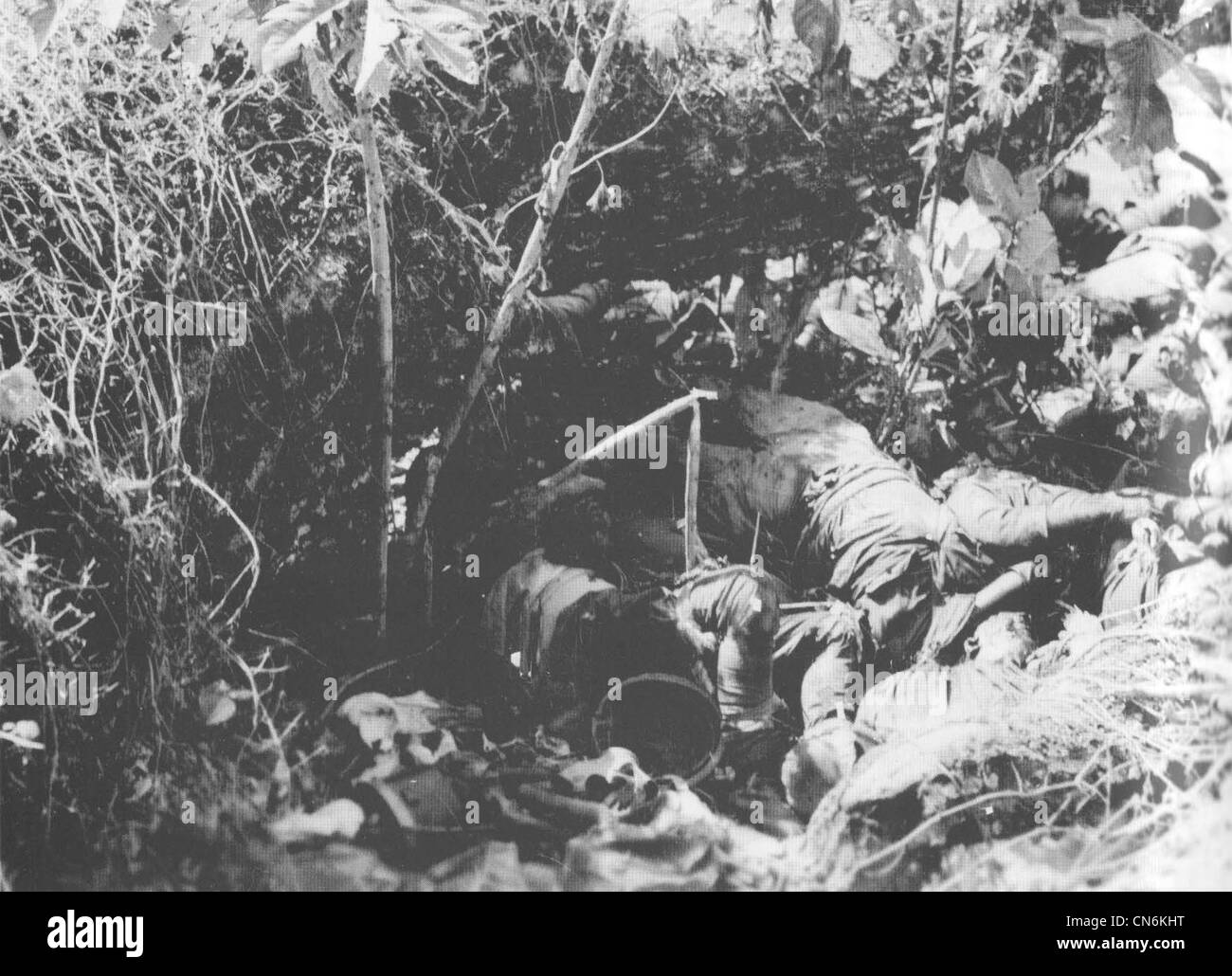 Dead soldiers from the Japanese 2nd Battalion, 4th Infantry Regiment lie piled in a ravine on Guadalcanal after being killed by mortar and small arms fire from United States Marine Corps troops of the 1st Battalion, 7th Marines under Chesty Puller on October 9, 1942. Stock Photo