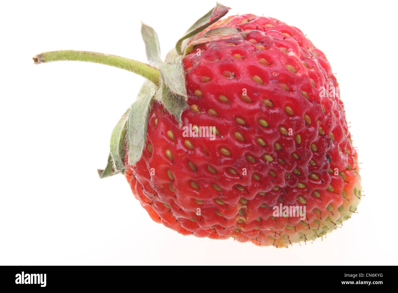 Fresh red strawberry isolated on white background Stock Photo - Alamy