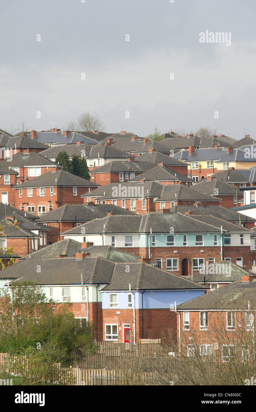 Refurbished housing in Sheffield Stock Photo Alamy