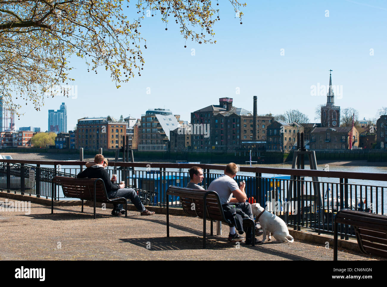 View across the river Thames to Rotherhithe, London, England. Stock Photo