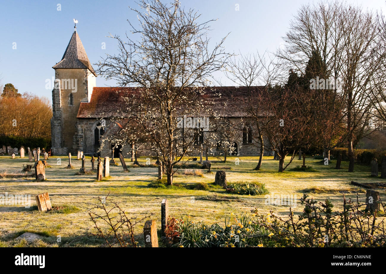 St Georges Church, Trotton, West Sussex in the early morning with early Spring blossom and slight frost on the ground. Stock Photo