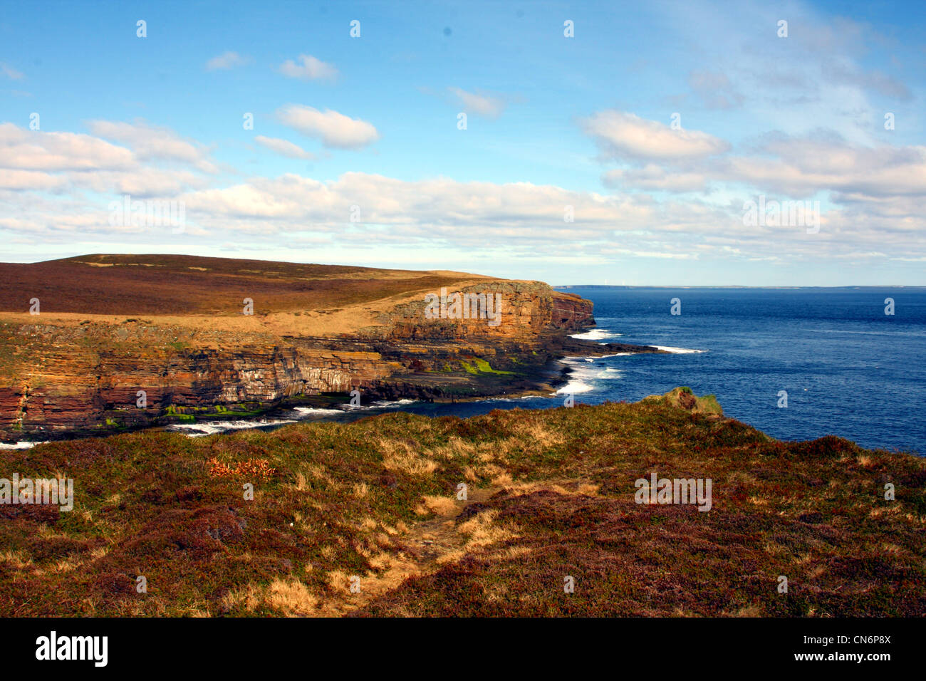 Cliffs on Orkney, UK Stock Photo - Alamy