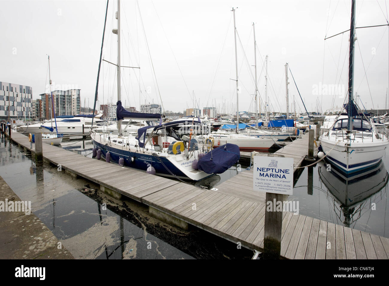 Ipswich's redeveloped waterfront and Neptune marina Stock Photo Alamy