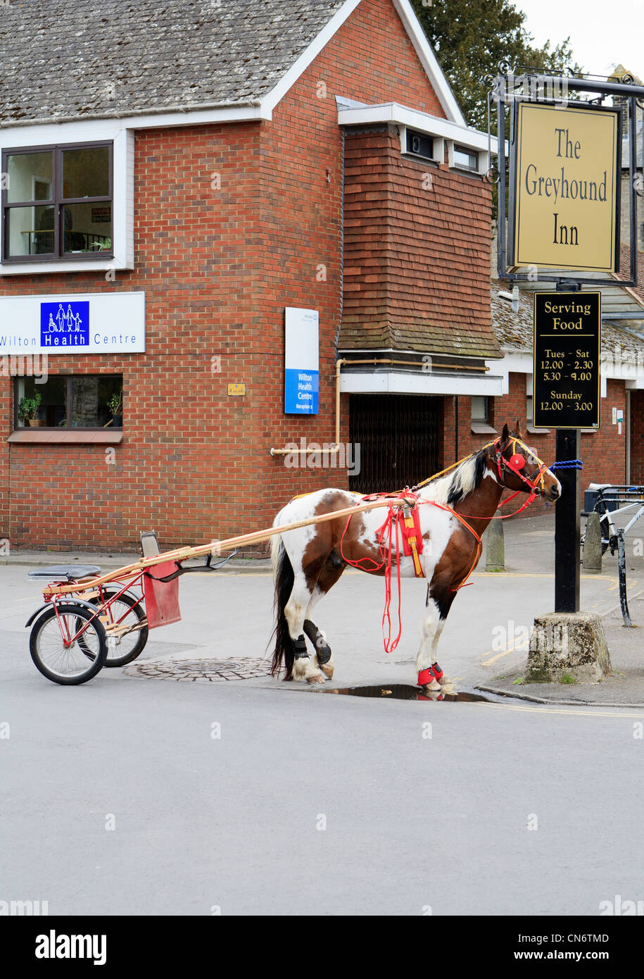 Gypsy horse and racing cart tethered to a post Stock Photo Alamy