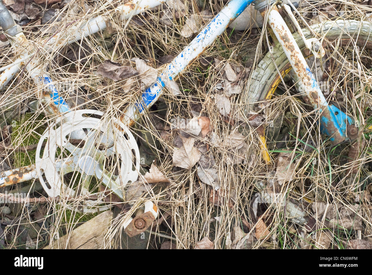 Old and Abandoned Bike as Everyday Environmental Pollution Stock Photo