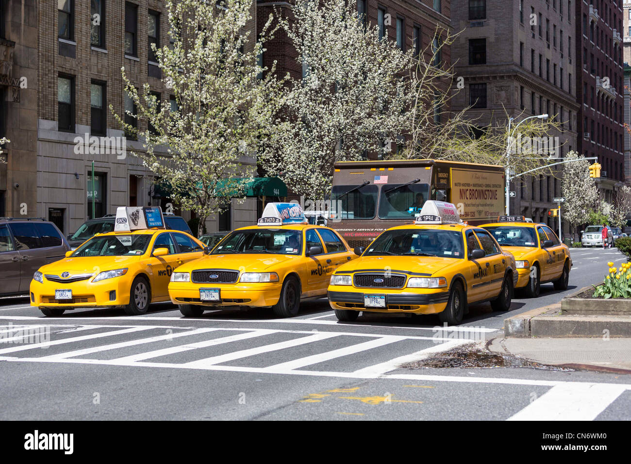 taxis on Park Avenue, Manhattan, New York City, USA Stock Photo