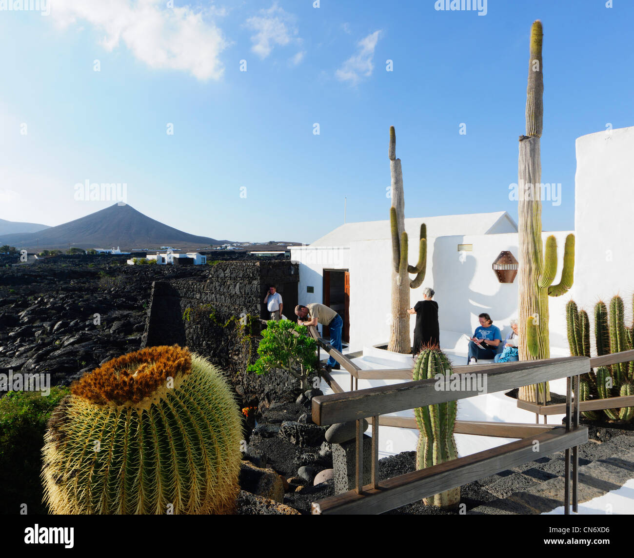 Lanzarote garden of Casa César Manrique, museum of the Manrique