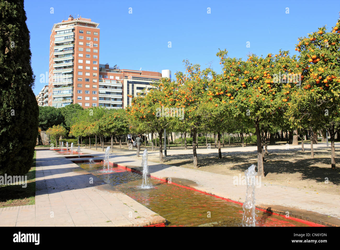 Fountains and orange grove in Turia Gardens Valencia Spain Stock Photo