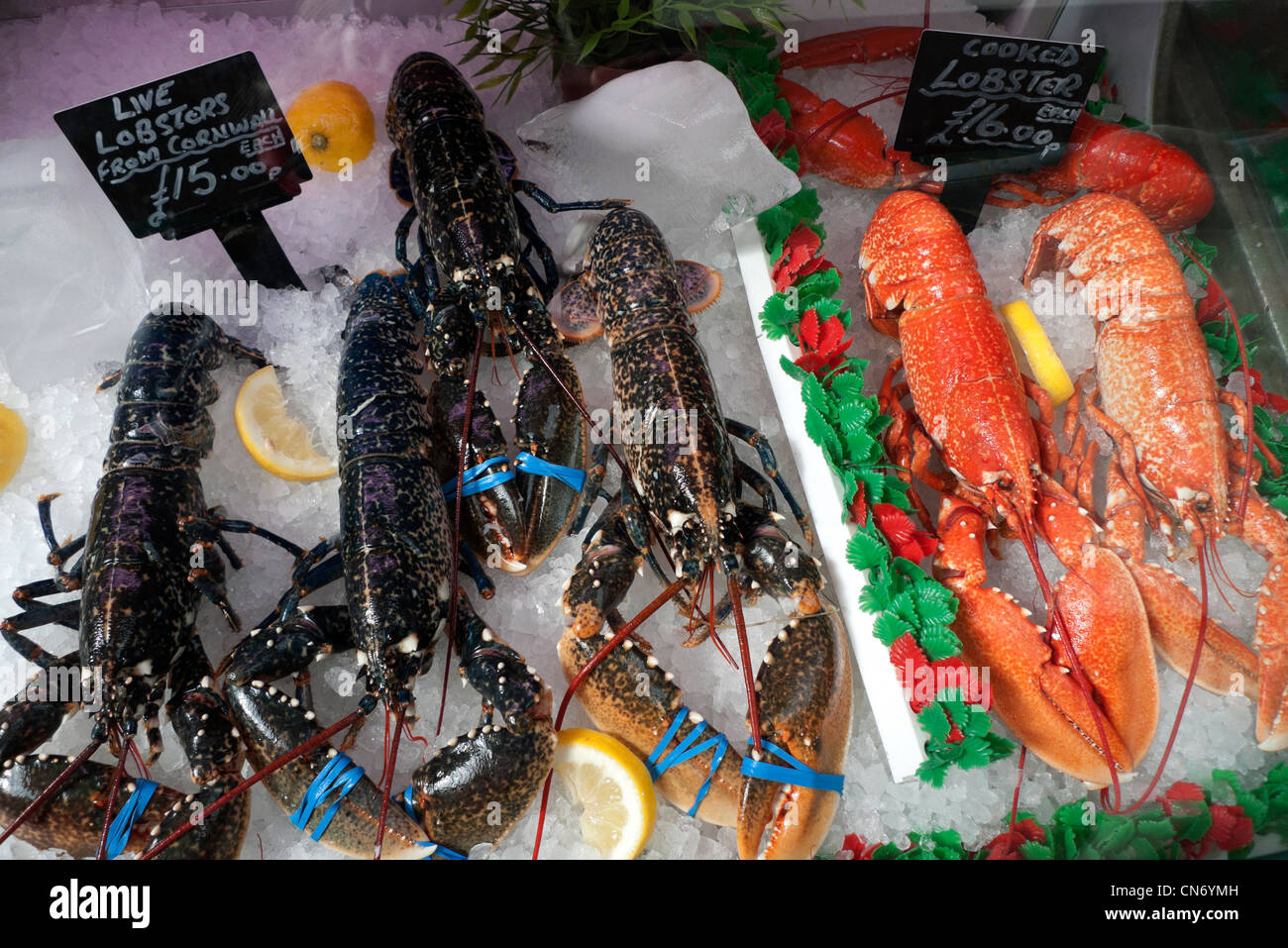 Live lobster from Cornwall and cooked lobsters on ice with lemon selling at a fish stall in Swansea Market Wales UK KATHY DEWITT Stock Photo