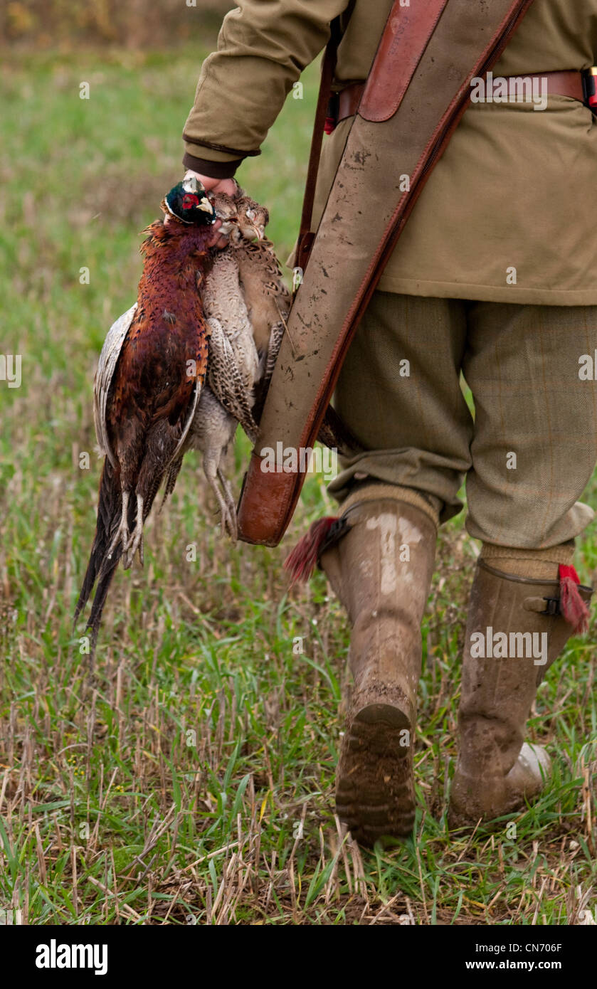 A hunter carries shot pheasant and partridges Stock Photo