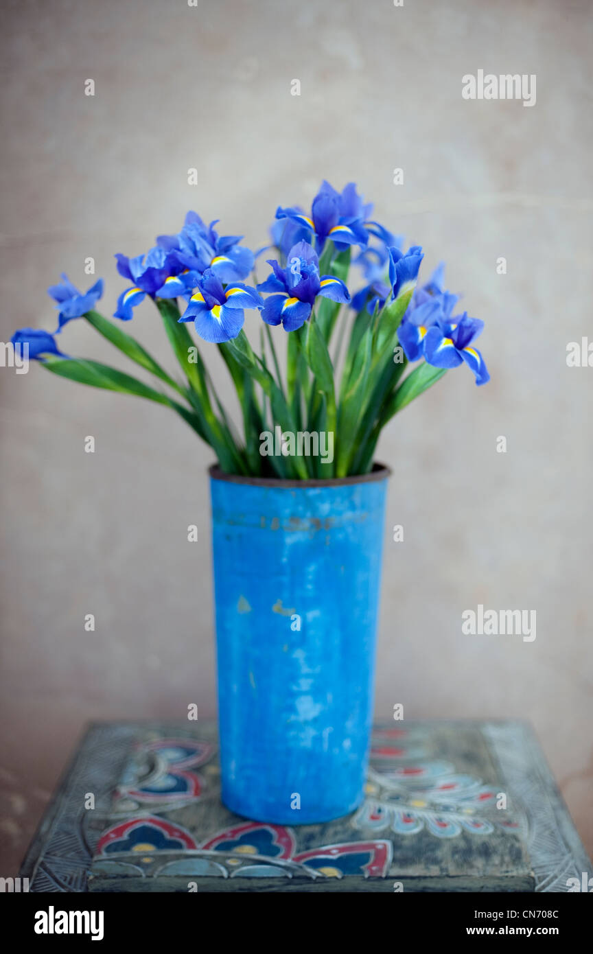 Blue flowers in pot hi-res stock photography and images - Alamy