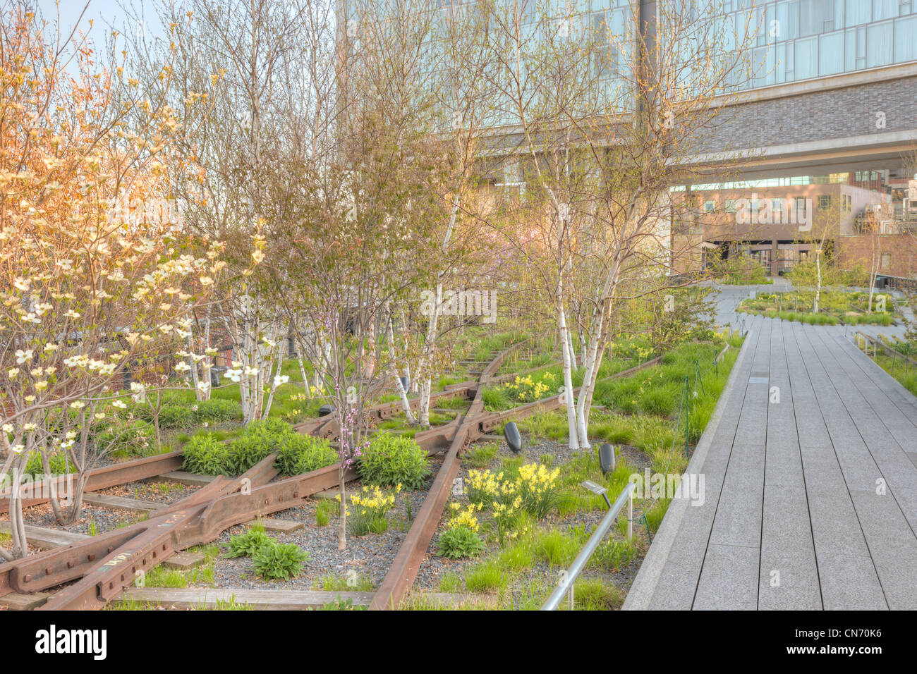 A view of the landscaping in High Line Park, planted along the old railroad tracks left in place, in New York City. Stock Photo