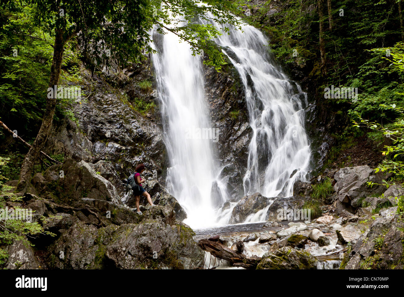 Exploring Fundy National Park's Laverty Falls