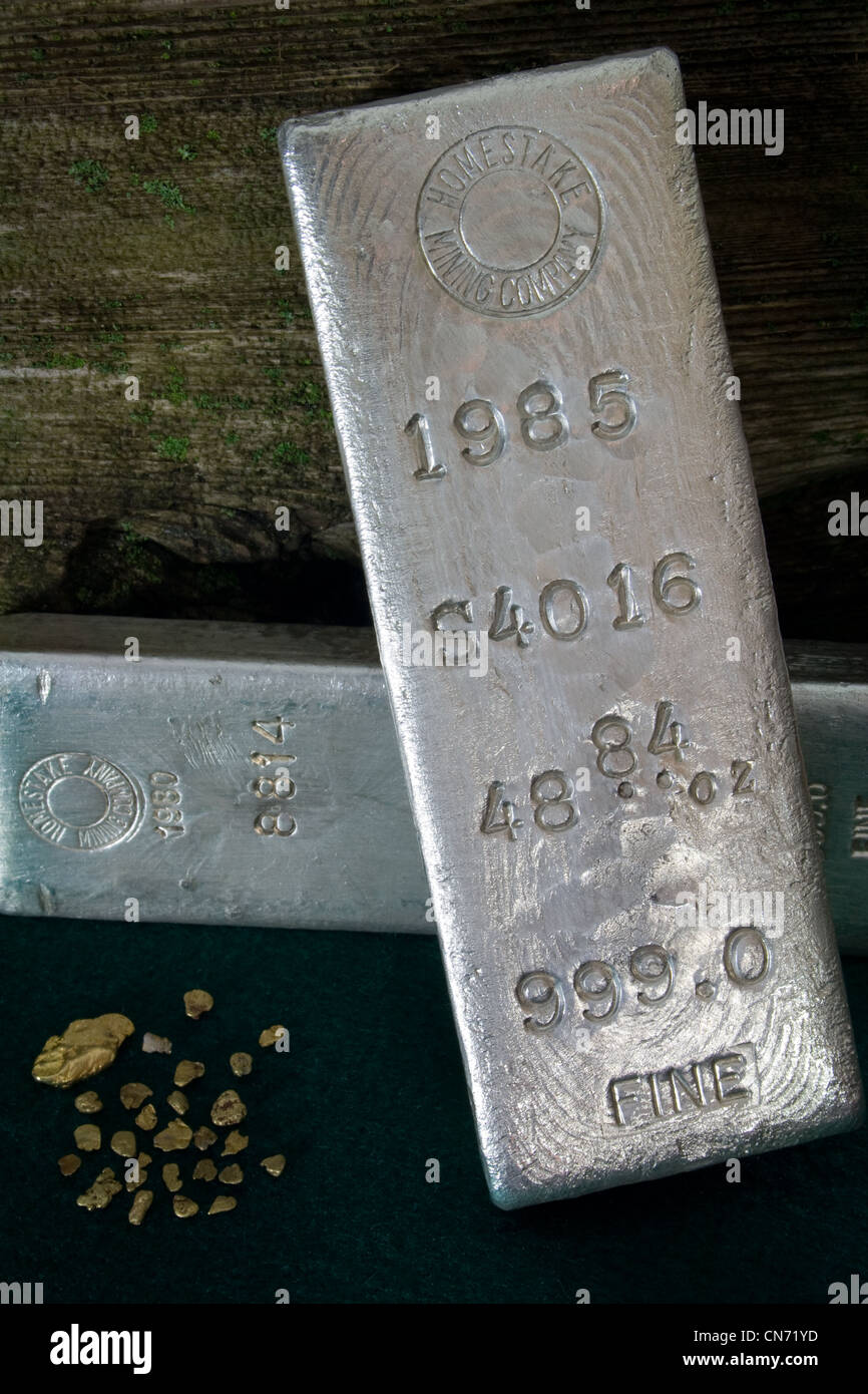 Homestake Mining Company Silver Bullion Bars and Natural Gold Nuggets Stock Photo