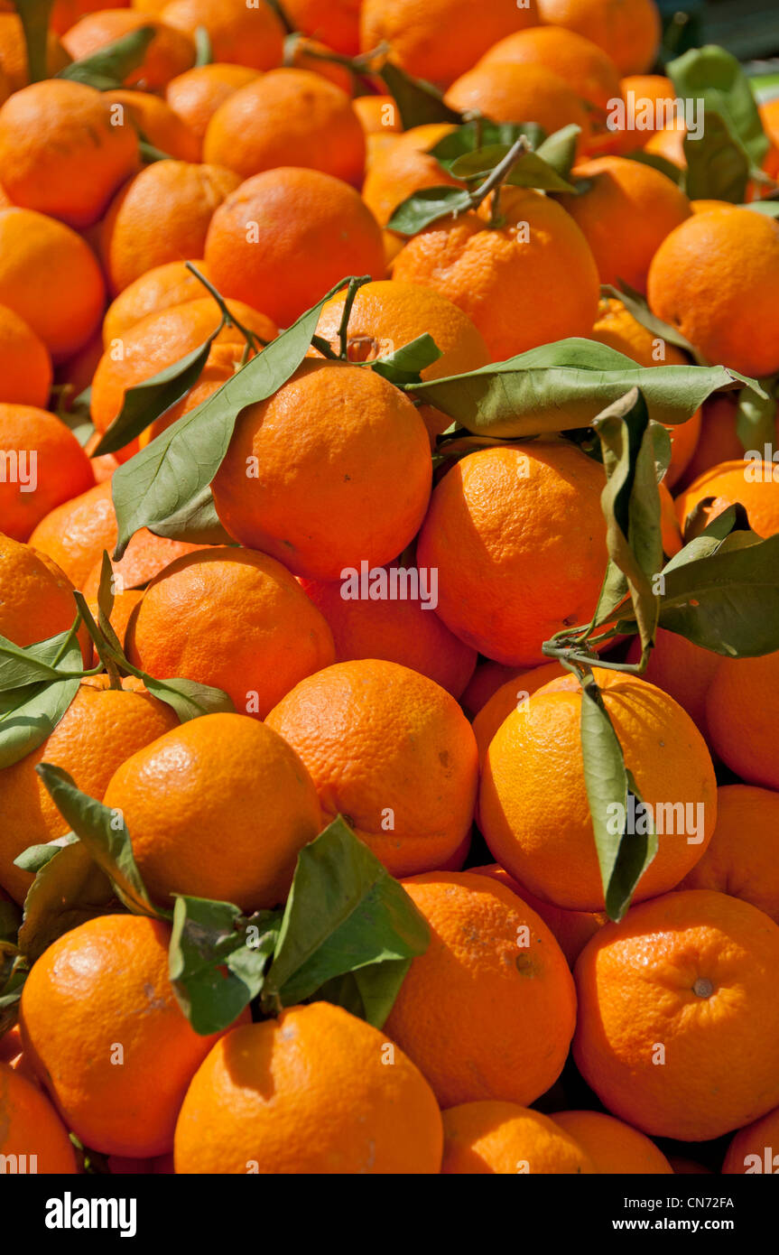 Oranges for sale in Mallorcan market. Andratx, Mallorca, Spain. Stock Photo