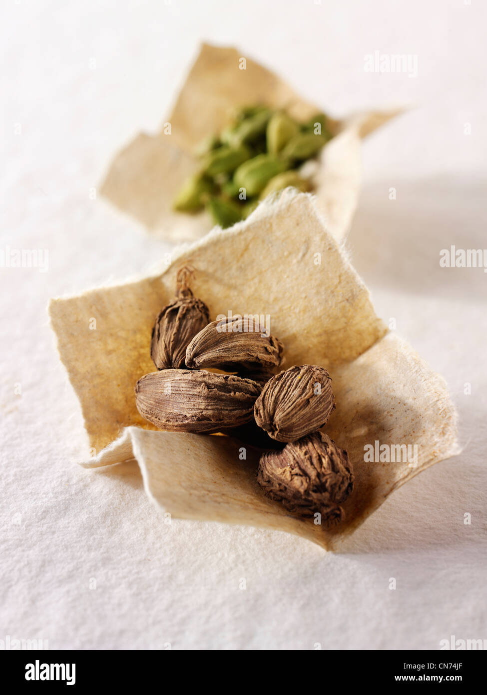 Black & green Cardamom seeds Stock Photo Alamy