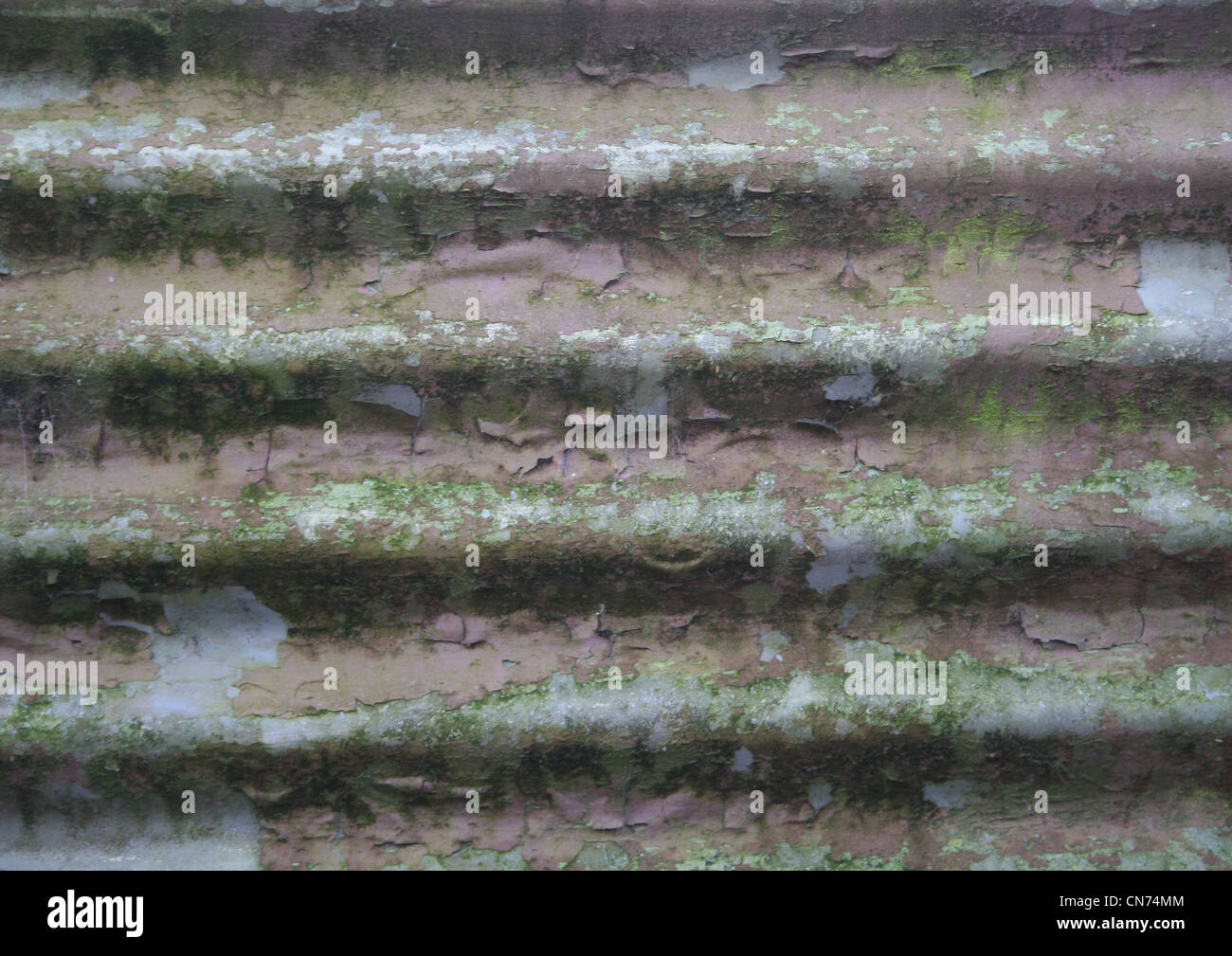 Rusty, paintpeeled shed siding Stock Photo Alamy