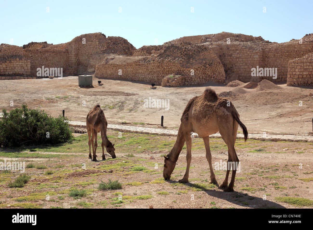 Samhuram, Khor Rouri, Ausgrabungsstätte an der alten Weihrauchstraße, Unesco Weltkulturerbe, nahe Salalah, Oman Stock Photo