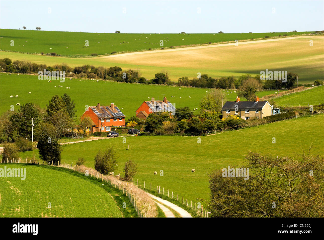 Farm buildings and housing in the South Downs National Park in West