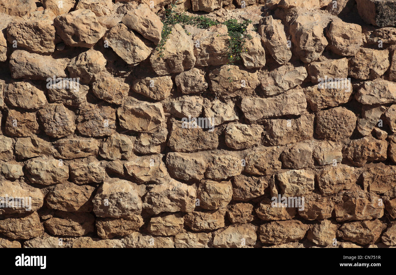 Samhuram, Khor Rouri, Ausgrabungsstätte an der alten Weihrauchstraße, Unesco Weltkulturerbe, nahe Salalah, Oman Stock Photo