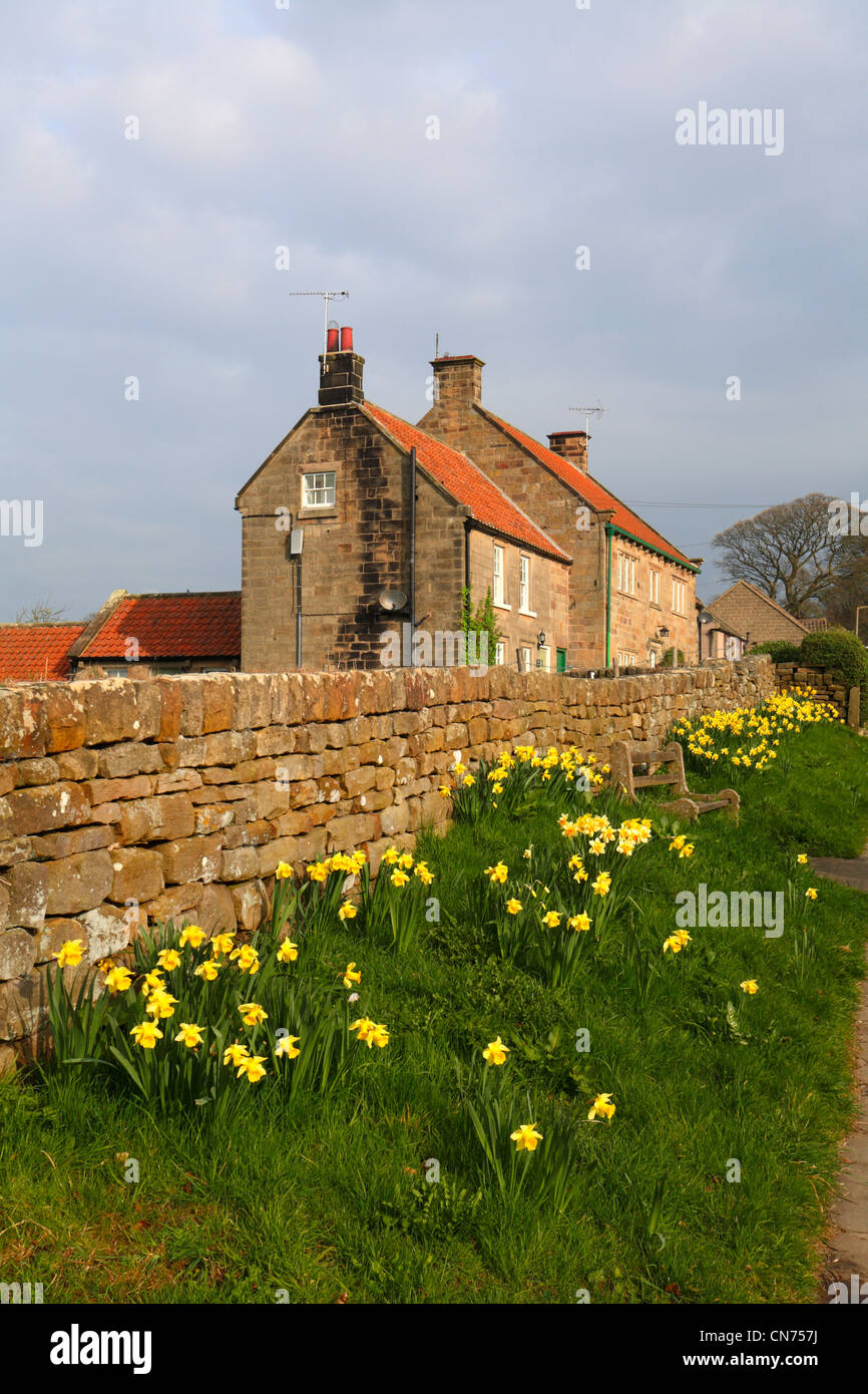 Roadside daffodils and cottages in Egton Bridge, North Yorkshire, North York Moors National Park, England, UK. Stock Photo