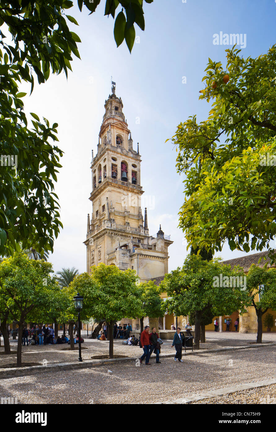 The Torre de Alminar and the Patio de los Naranjos in the grounds of the Mezquita (Cathedral-Mosque), Cordoba, Andalucia, Spain Stock Photo